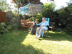Sam and Granny Beech catching a few rays in my enclosed garden 
