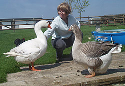 Cath with Geese,Spingo and Boddington
